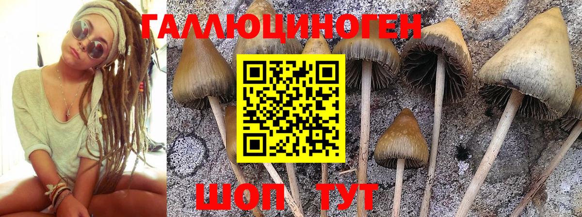 Псилоцибиновые грибы ЛСД  Вход с VPN  Псилоцибиновые грибы Psilocybe  Анапа 