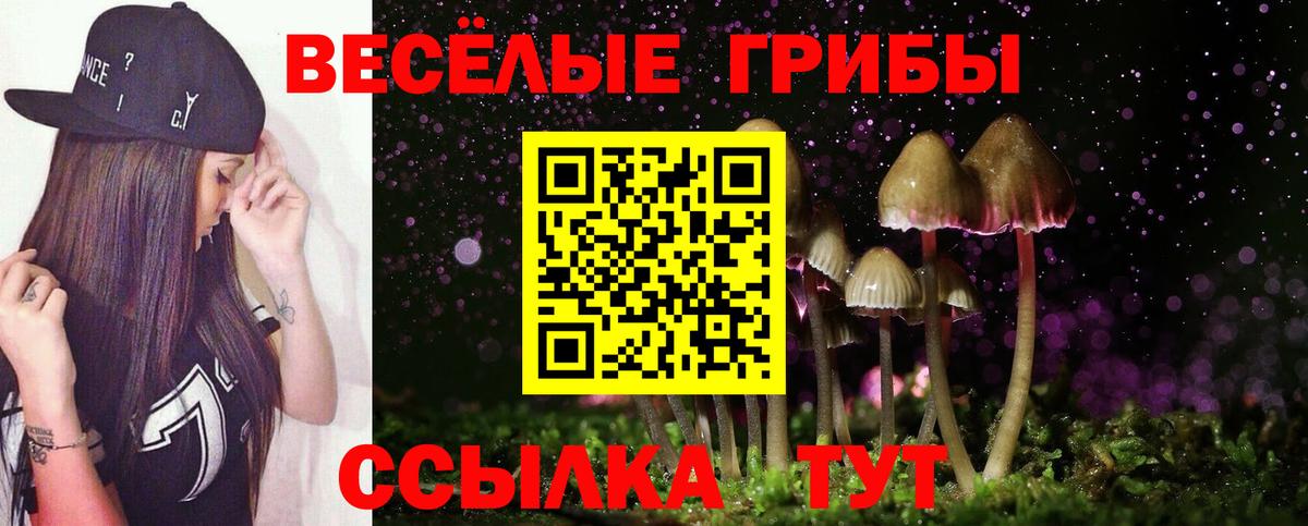 Псилоцибиновые грибы Psilocybine cubensis Анапа